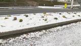 西予市宇和で15センチ、久万高原で1センチの積雪 高速道路では通行止めも | 愛媛のニュース - Nスタえひめ|あいテレビは6チャンネル
