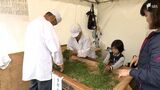 「生産者が丁寧につくっているのを感じられる」静岡市で駿府本山秋のお茶まつり開催 | 静岡のニュース | SBSNEWS | 静岡放送