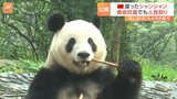 シャンシャンは中国で“臆病で人見知り”　日本メディアに初公開|TBS NEWS DIG