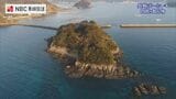海に浮かぶ城跡を思わせるような無人島 知られざるその歴史は【長崎ばーどアイ】 | 長崎のニュース | 天気 | NBC長崎放送
