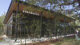 店内は3面ガラス張り、四季の自然を感じられるつくりに 五福公園内にスタバ新店舗オープン 都市公園の店舗は県内3店目 富山 | 富山のニュース|天気・防災|チューリップテレビ