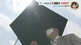 近い将来当たり前に? 真夏の “日傘男子” 20~30代に人気…晴雨兼用やスポーツで使うショート傘まで|TBS NEWS DIG