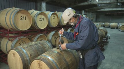 樽の成分がよく出ている」丹波山村のミズナラ使用 ウイスキーの熟成を