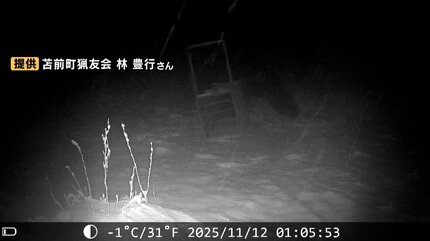 ヒグマ速報】カメラが捉えた…400キロ超の巨大ヒグマか シカ肉ねらい300