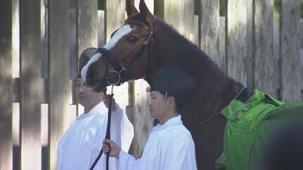 皇室から贈られた馬が神に仕える馬になるための儀式 伊勢神宮で｢御馬牽