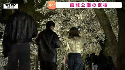 幻想的な景色を見ようと大勢の人！ 霞城公園で夜桜のライトアップ お堀