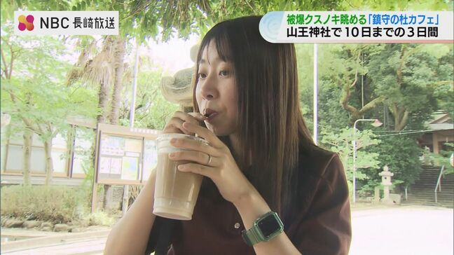 被爆クスノキをそばに感じ平和への思いを強く 山王神社 鎮守の杜カフェ【長崎】|TBS NEWS DIG