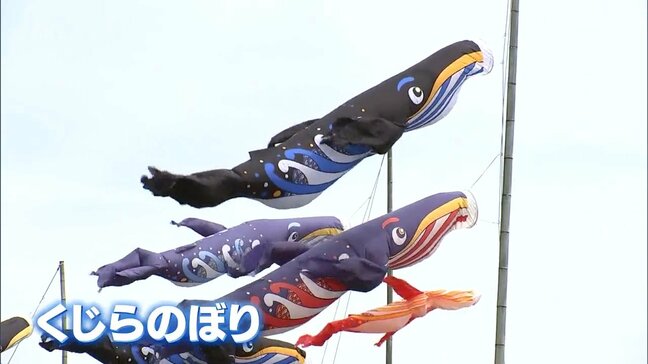 こどもの日を前に 宮崎市佐土原町で名物の「くじらのぼり」|TBS NEWS DIG