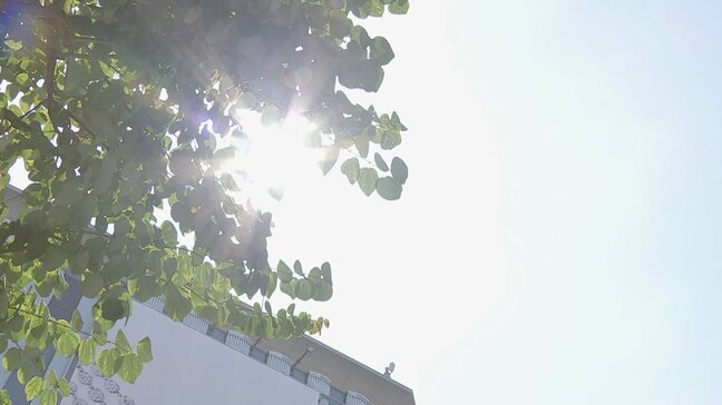 熱中症警戒アラート　今年の発表数は過去最多の1749回|TBS NEWS DIG