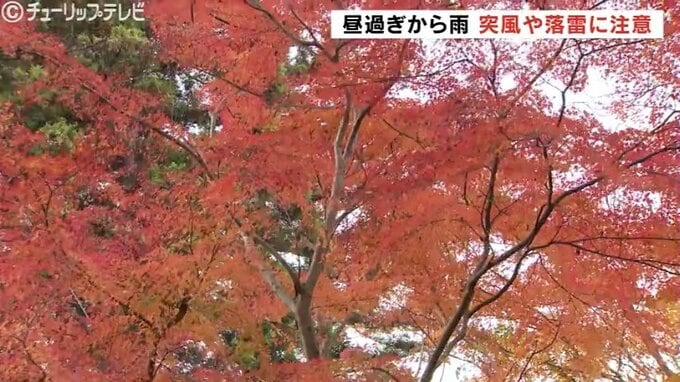 赤や黄色の落ち葉が師走を告げる 朝からからくもり所により雨 気温は10月下旬並み 富山　|　富山のニュース｜天気・防災｜チューリップテレビ