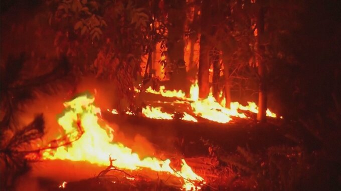 チリで山火事、少なくとも24人が死亡、970人負傷|TBS NEWS DIG