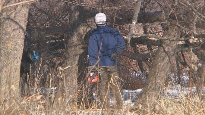 住民ら「駆け込み工事だ」と批判、釧路湿原周辺のメガソーラー建設予定地で木の伐採始まる　釧路市が希少生物の生息調査を求める中、日本エコロジー側が作業開始　|　北海道のニュース｜HBC北海道放送