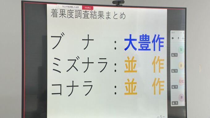 ブナ「大豊作」でクマ“大量出没の可能性低い”も里山に定着している個体に注意|TBS NEWS DIG