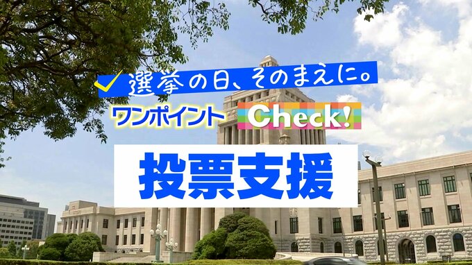 「投票支援」 ～選挙の日、そのまえに。ワンポイントCheck!～|TBS NEWS DIG
