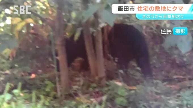 　「畑の中にクマがいる」飯田市で7日もクマの目撃情報相次ぐ　歴史あるマラソン大会「風越山トレイルマラソン」が中止に　クマ出没による中止は初　|　SBC NEWS | 長野のニュース | SBC信越放送