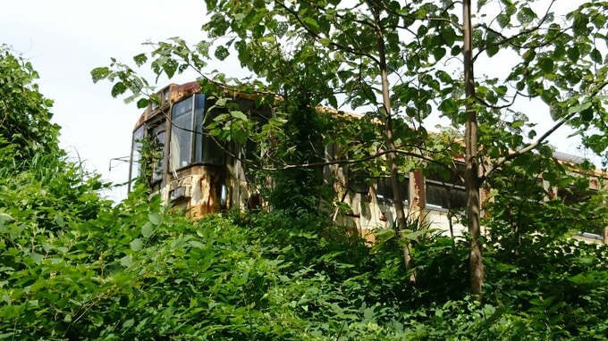 「能登町の将来を真剣に考えた」能登の水を40年以上見守り続けた設計技師 最大震度7の地震が襲い…【前編】　|　愛媛のニュース - Nスタえひめ｜あいテレビは6チャンネル