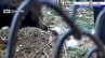 「温かく見守っていただきたい」盛岡市動物公園ＺＯＯＭＯで初めて二ホンイヌワシのヒナ誕生　岩手　　|　IBC NEWS | IBC岩手放送