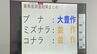ブナ「大豊作」でクマ“大量出没の可能性低い”も里山に定着している個体に注意　|　石川県のニュース｜MRO北陸放送