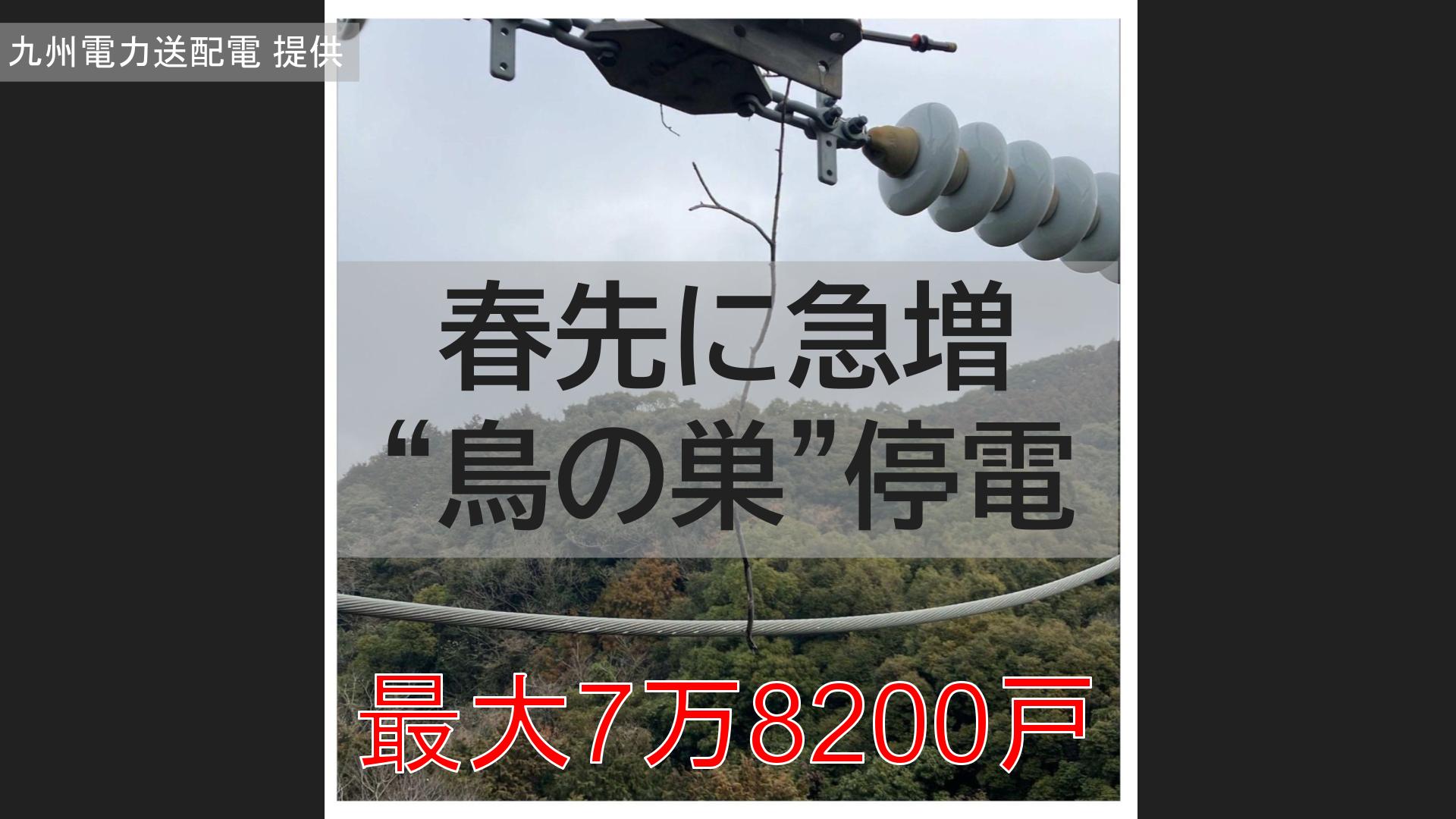 春先に急増する「鳥の巣」停電 最大7万8200戸に影響「変電所の機器