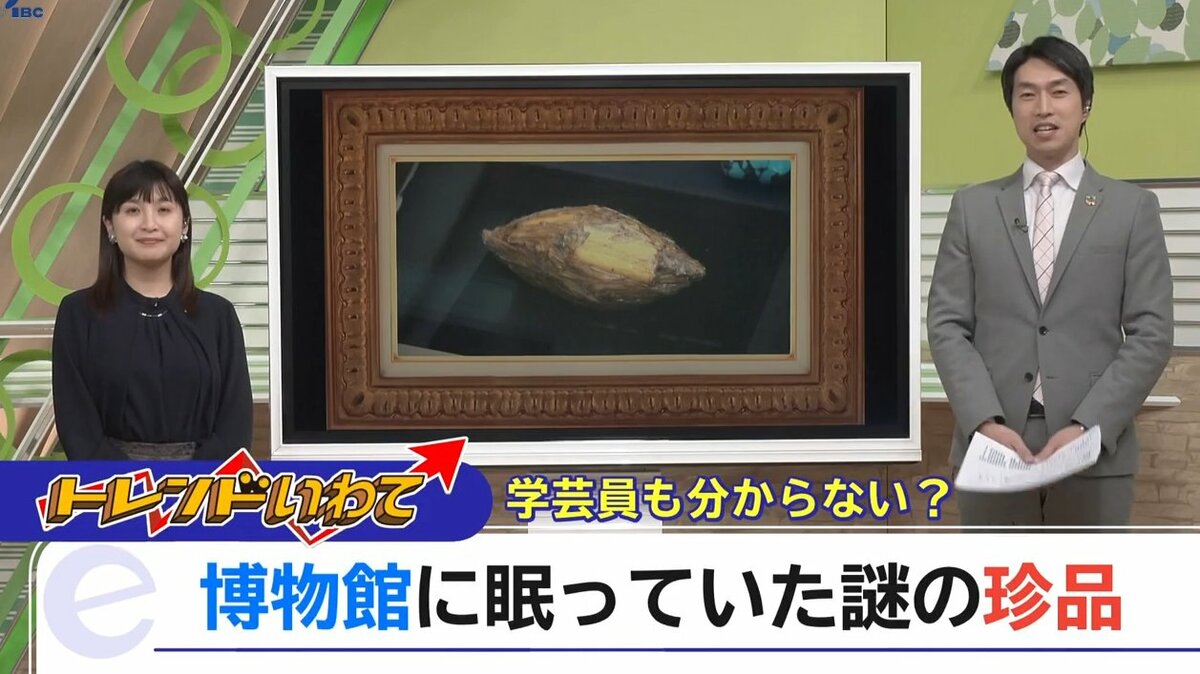 霊獣の絵？ツキノワグマのこどものはく製？アナコンダの皮？博物館の奥