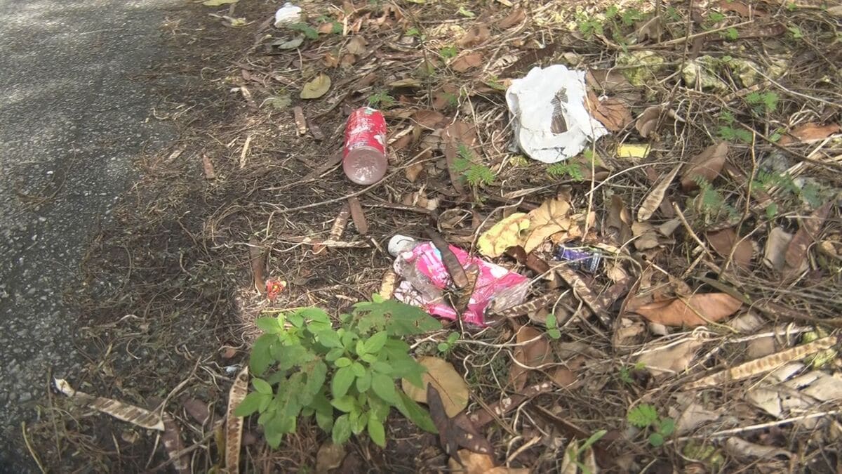 宮古島市のビーチなどでごみの実態調査　結果を市に報告