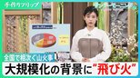 全国で相次ぐ山火事　被害拡大の背景に“飛び火”と“林業衰退”【サンデーモーニング】|TBS NEWS DIG