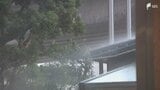 「走っていると前が見えなくなるような」各地でゲリラ雷雨発生 浜松市水窪町で46ミリ解析 日付が変わる頃まで突風や落雷、ひょうに注意=静岡県 | 静岡のニュース | SBSNEWS | 静岡放送