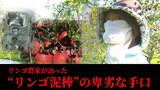 「毎年ずっと我慢してきたんだけど もう限界で…」リンゴ農家の悲痛な叫び…　“リンゴ泥棒”は約1200個のリンゴと『防犯カメラ』までも盗んでいった「やめてもらうだけでいいんですよ。本当に」|TBS NEWS DIG