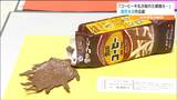 「今の子たちすごいなって」コーヒー牛乳が倒れた瞬間をイメージした立体作品などなど 小・中学校の図工・美術合同展 仙台 | 宮城のニュース│tbc NEWS│tbc東北放送