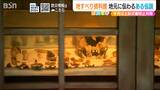 “座禅組む人骨”が見つかった地に伝わる旅僧の『人柱伝説』雨多く地盤緩む時期 土砂災害に注意 新潟・上越市 | 新潟のニュース・天気|BSN NEWS|BSN新潟放送