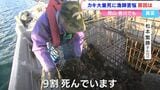 「カキの大量死」大量に水揚げしても出荷できるのは1日わずか4キロほど 大きさも例年にないほど小ぶり【岡山・香川】 | 岡山・香川のニュース | 天気 | RSK山陽放送