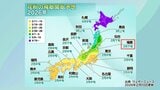 花粉飛散、いつから？東北南部は平年より1割増か　今から対策を|TBS NEWS DIG