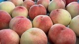 「シャキシャキの食感と高い糖度が評判」幻の桃 “クリーンピーチ” 旬入り 今年は13トン出荷 大分 | 大分のニュース|OBS NEWS|大分放送