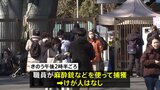 オオカミ1頭が一時脱走するも園内で麻酔銃などを使い捕獲　来年1月2日に営業再開予定　東京・多摩動物公園|TBS NEWS DIG