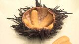 変幻自在の食材『ニンジャペースト』コンニャク技術で高級食材「ウニ」誕生!?ベンチャー開発のきっかけは「糖尿病のおばあちゃんの食事制限」|TBS NEWS DIG