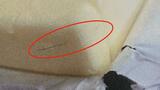 『よつ葉乳業』製造過程の部品破損で金属線が混入か…消費者からの連絡で発覚 バターなど約628万個を自主回収《回収対象の商品一覧》 | 北海道のニュース|HBC北海道放送