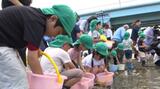 「大きくなーれ!」 園児たちがアユの稚魚を放流 | 愛媛のニュース - Nスタえひめ|あいテレビは6チャンネル