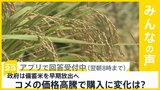 コメの価格 高止まり…政府備蓄米を早期放出へ　コメの購入に変化は？【news23】|TBS NEWS DIG