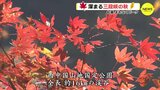 深まる三段峡の秋　紅葉 まもなくピーク　広島　|　RCC NEWS | 広島ニュース | RCC中国放送
