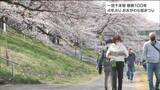 「サクラ植樹から100年、記念の年」4年ぶり“おおがわら桜まつり”にぎわう　宮城　|　宮城のニュース│tbc NEWS│tbc東北放送