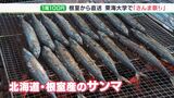 不漁続く“サンマ”が1尾100円！「炭火のいい香りがしておいしい」北海道・根室産の“旬”を振る舞う—静岡・清水区|TBS NEWS DIG