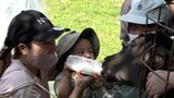 農業高校で子どもたちが動物とのふれあい体験 子ブタとの触れ合いやウサギへの餌やりなど 25年以上続く取り組み【岡山】|TBS NEWS DIG