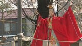 満開のサクラの木の下で披露　国の重要無形民俗文化財　人形芝居「天津司の舞」|TBS NEWS DIG