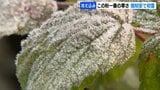北海道でこの秋一番の寒さ　音更町でマイナス2.2度　倶知安町ではみぞれも…初雪観測|TBS NEWS DIG
