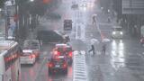 大雨の影響 倒木で県道通行止め 福島・いわき市 午後4時現在 | 福島のニュース│TUF