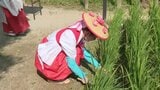 「コメ不足の話を聞きますけれども・・・多くのお米が収穫できたら」深刻なコメ不足の中、五穀豊穣を願う神事 | 福岡のニュース|RKB NEWS|RKB毎日放送
