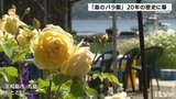 「一生懸命、活動したので悔いはない」 さようなら「島のバラ園」 20年の歴史に幕 | 愛媛のニュース - Nスタえひめ|あいテレビは6チャンネル