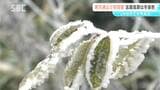 志賀高原では雪　東方連山で初冠雪　26観測地点で今季最低　県内各地冷え込み　軽井沢町の雲場池では紅葉進む　長野|TBS NEWS DIG
