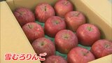 雪の中で熟成させた “雪むろりんご” など「青森県の物産と観光展」に33店が約700商品 岡山高島屋で18日まで【岡山】|TBS NEWS DIG