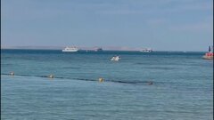 紅海で観光用の潜水艦が沈没　6人死亡 29人けが　エジプト| TBS CROSS DIG with Bloomberg